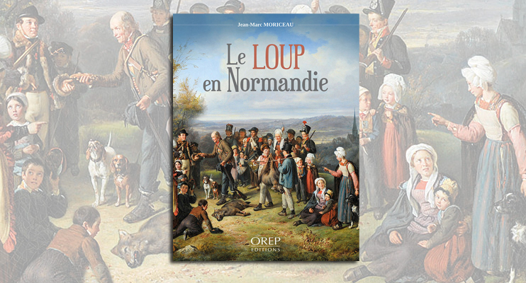 Le loup en Normandie