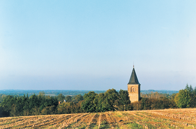 Des peintures murales du Moyen Âge au Mesnil-Aubert et à Savigny