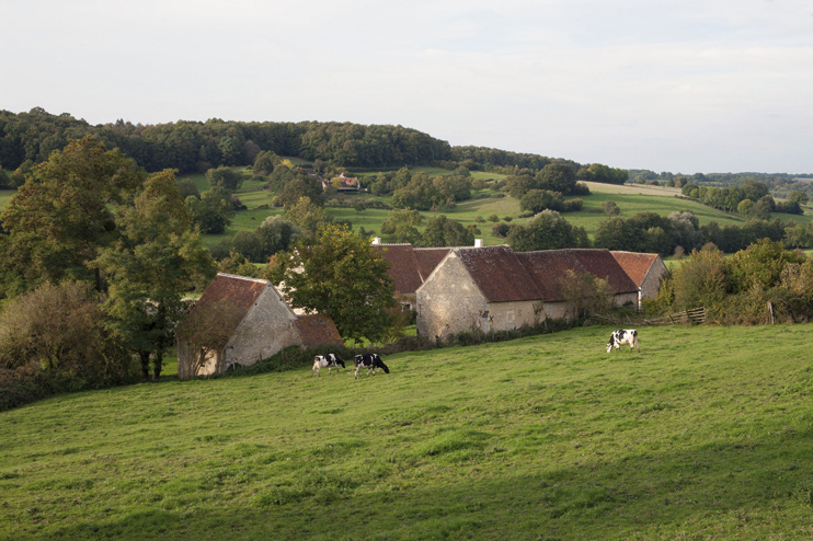 Exposition « Architectures du Perche » au manoir de Courboyer