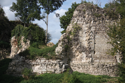 Vatteville-la-Rue. Le vieux château témoigne de la longue histoire de la commune. (© Virginie Michelland)