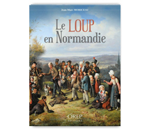 Le loup en Normandie
