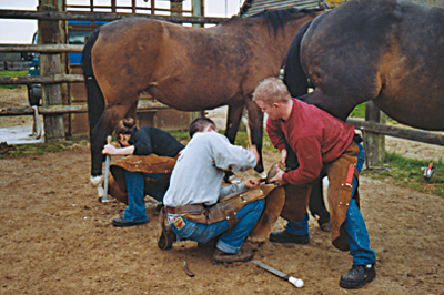 Seule fille de sa promotion, Sarah (à gauche) apprend à parer les pieds de la jumenterie du Pin. (Photo Thierry Georges Leprévost © Patrimoine Normand)