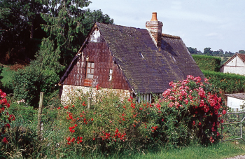 Dans un petit jardin. (© Christiane Dorléans)
