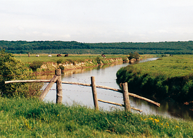 Dans les marais du Cotentin avec Barbey d’Aurevilly