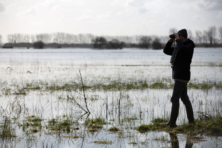 Le « marais blanc » du Cotentin et du Bessin