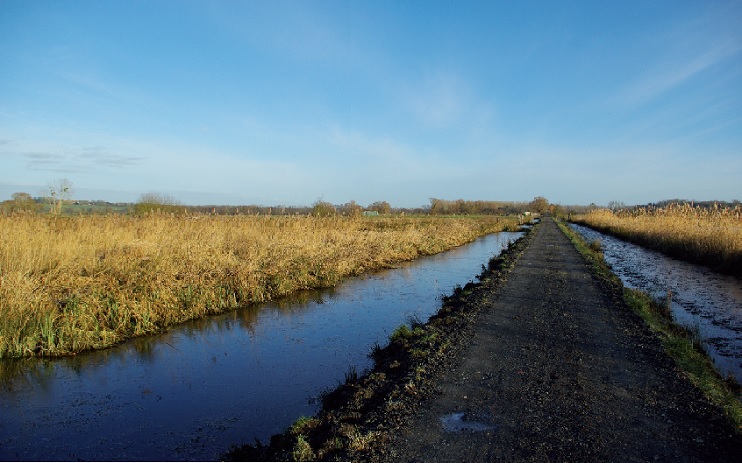 Promenade naturaliste dans les marais de la Dives