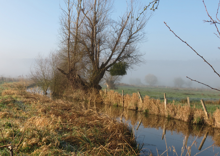 Marais Vernier - Balade au pays des cigognes