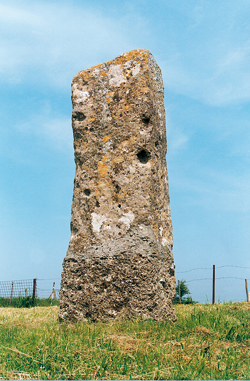 Le « menhir des Demoiselles » ou de « la pierre debout » -  Colombiers-sur- Seulles (Photo Bertilde Barge © Patrimoine Normand).