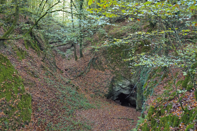 La minière dans la Haie de la Ferrière. (© Mireille Thiesse)