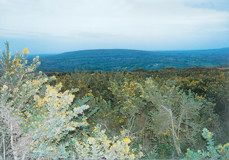 Sabbats et sorcellerie sur le Mont Étenclin