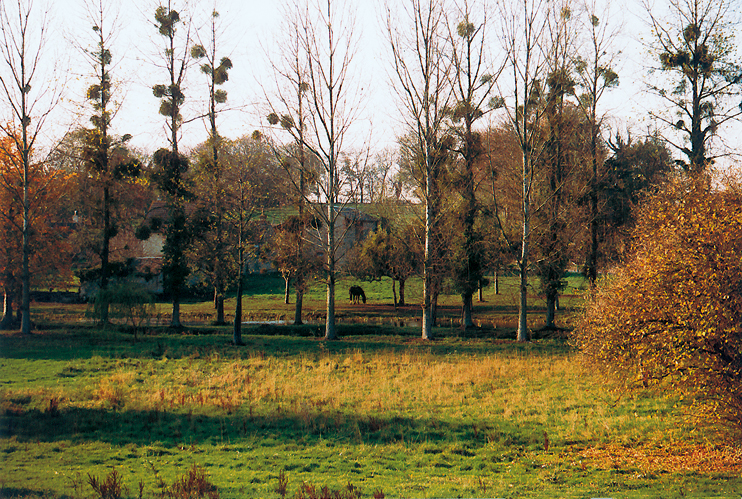 Les bords de la Muance à Valmeray (© Thierry Georges Leprévost).