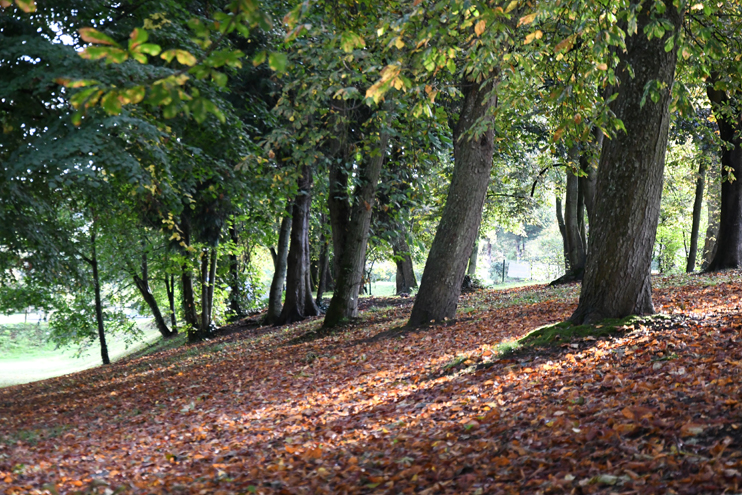 Parc du château d'Harcourt, à Thury-Harcourt (photo Rodolphe © Patrimoine Normand).