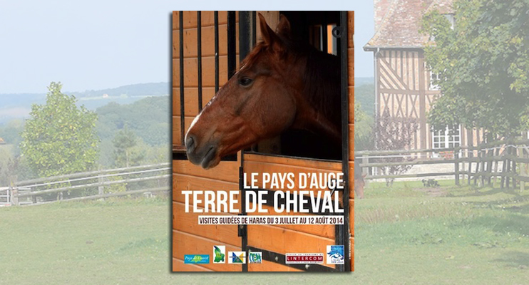 Le pays d'Auge, terre de cheval - Visites de haras