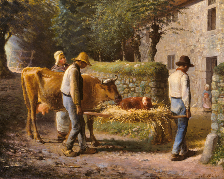 Jean-François Millet & le Veau dédaigné…