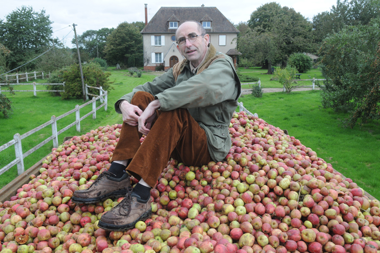 Pas de secouage de pommiers, comme dans l’industrie du cidre. Philippe Jaouen ramasse ses pommes une fois au sol : « C’est primordial » (© Jean-Luc Péchinot).