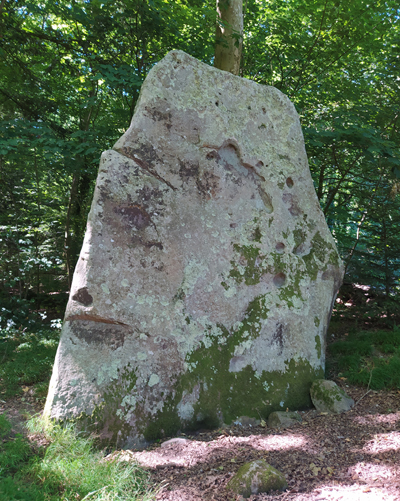 La Pierre levée, un mégalithe géant en lisière de la forêt de Gouffern. (© Stéphane William Gondoin)