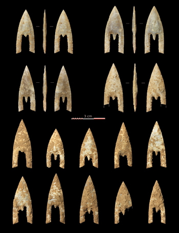 Les pointes de flèches de Giberville : seules quatre armatures ont été nettoyées ; les autres sont conservées telles quelles dans lattente danalyses de résidus. ( cliché C. Nicolas).