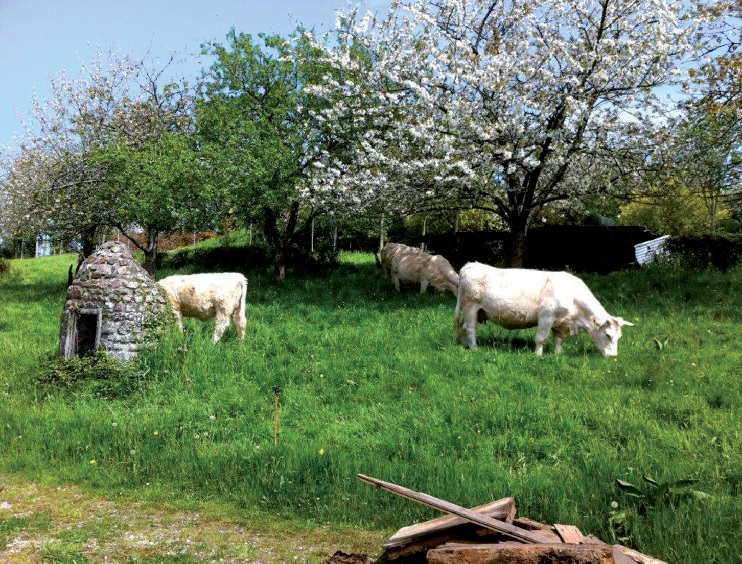 Un outil précieux pour sauvegarder le patrimoine rural de la Manche