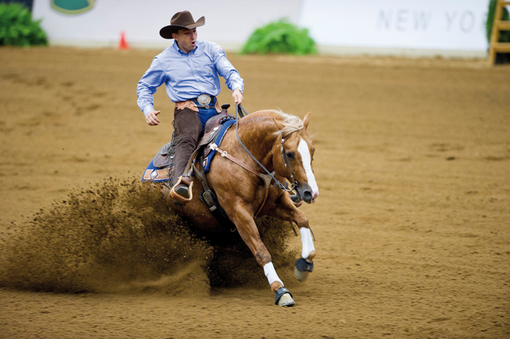 Jeux Équestres Mondiaux : le reining à Caen