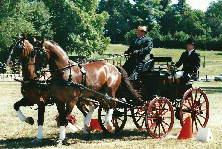 Une saison au Haras du Pin