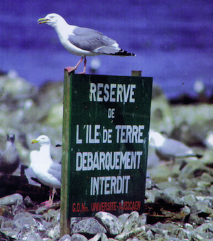 Les réserves ornithologiques de Normandie