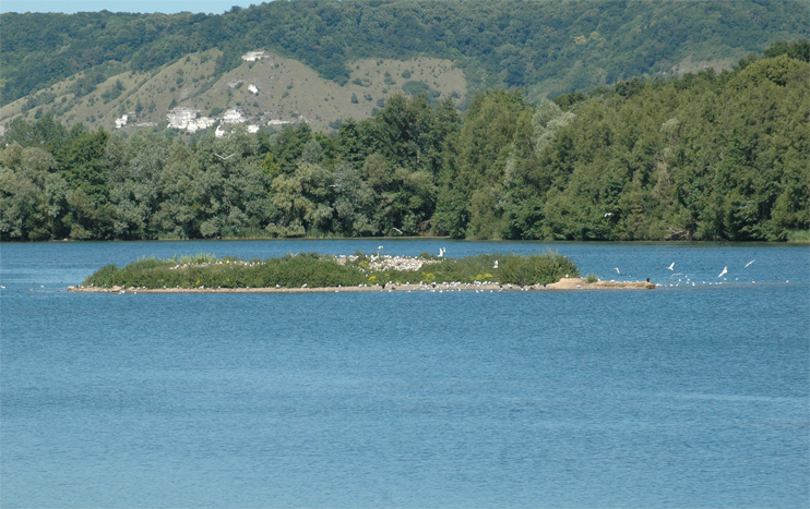 Réserve de la Grande Noé - Val de Reuil (Eure)