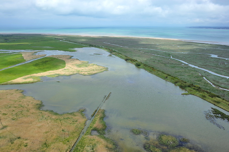 La réserve naturelle nationale du domaine de Beauguillot