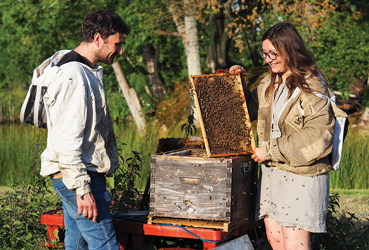 Ruchers de Normandie : un savoir-faire apicole en pays d’Ouche
