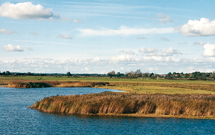 Parc Naturel régional des Marais du Cotentin et du Bessin : site des Ponts d'Ouve