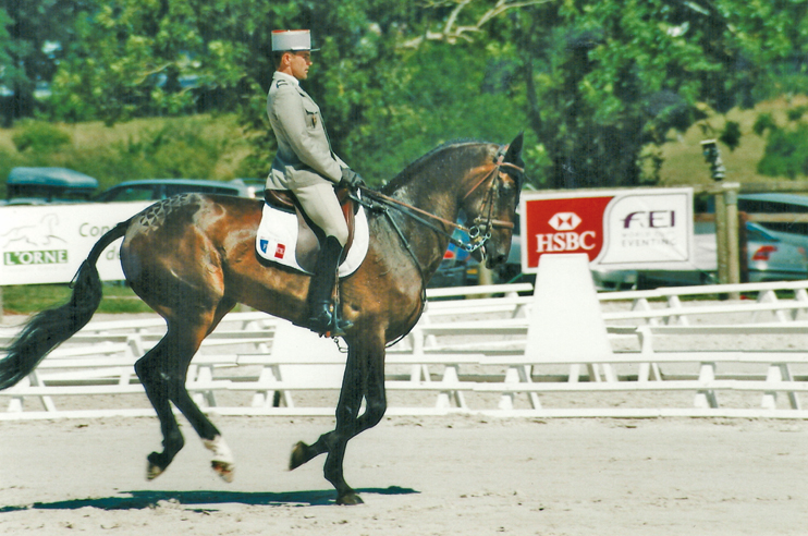 Haras du Pin : terre de concours complet d’équitation