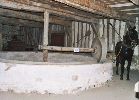 Tour à piler à Montaure - un cheval faisait tourner la roue en pierre. (Photo Alexandre Vernon © Patrimoine Normand.)