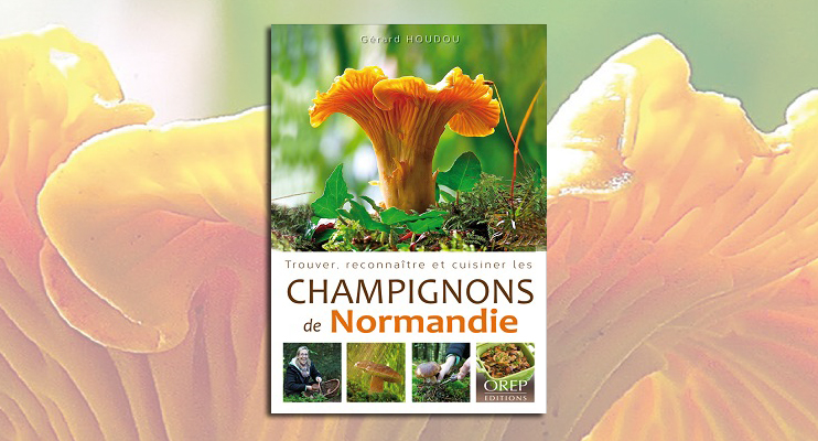 Trouver, reconnaître et cuisiner les champignons de Normandie.