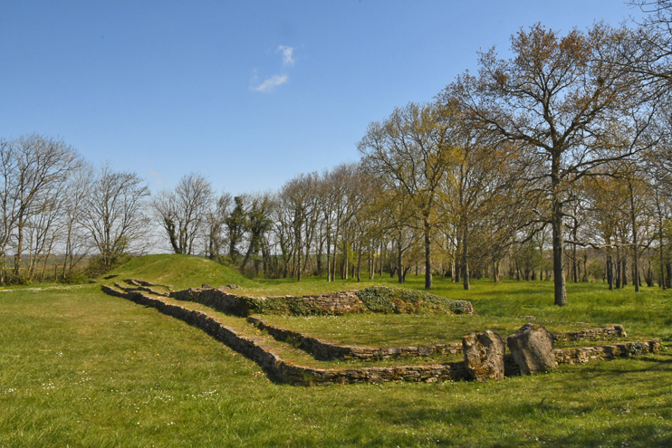 Très allongé (60 mètres), le tumulus est de forme trapézoïdale. Sa largeur varie de 9 à 16 mètres. (Photo Rodolphe Corbin © Patrimoine Normand)