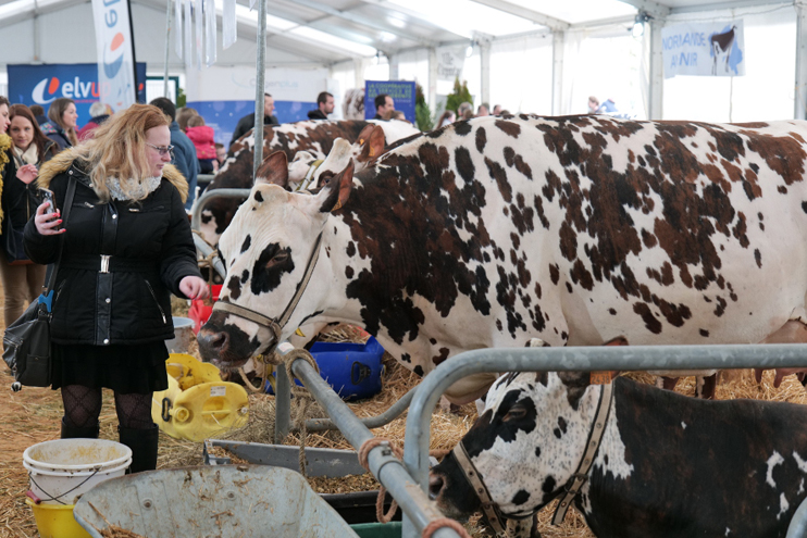 La Fête de la Normandie à Argentan. (© Fête de la Normandie)