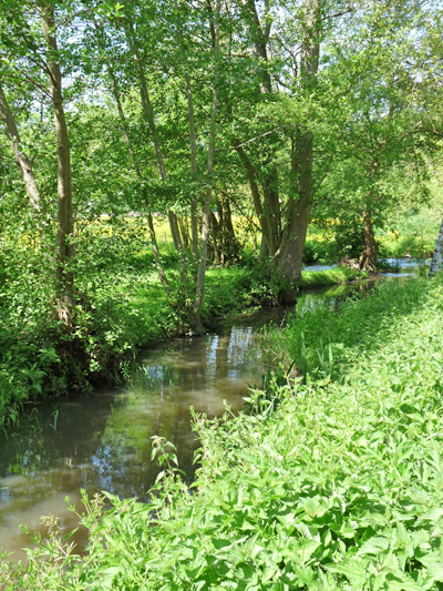 Les berges de l'Iton invitent à la flânerie. (© Christiane Lablancherie)